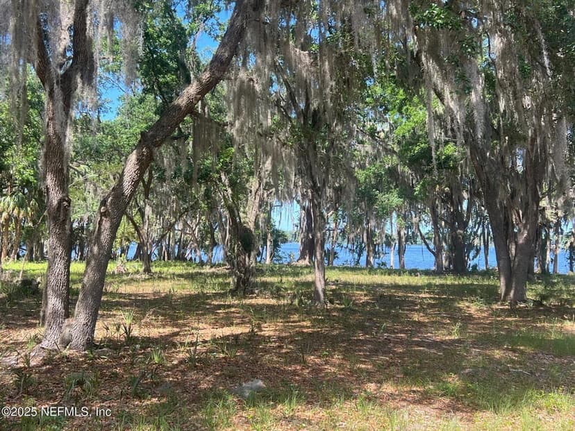 762 NATIONAL FOREST ROAD 75G Road, Palatka, FL 32177