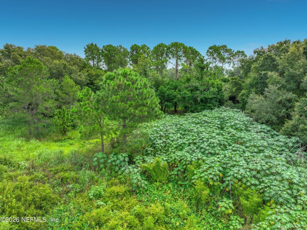 15401 PENDIO Drive, Montverde, FL 34756, Montverde, FL - photo 3
