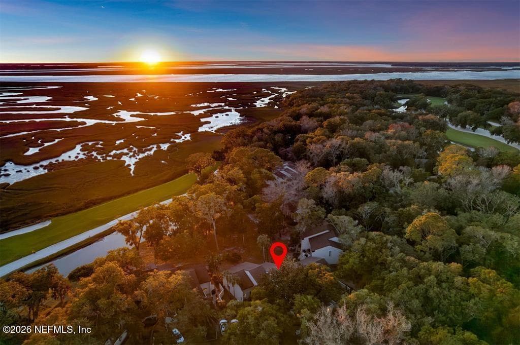 3051 SEA MARSH Road, Fernandina Beach, FL 32034, Fernandina Beach, FL - photo 3