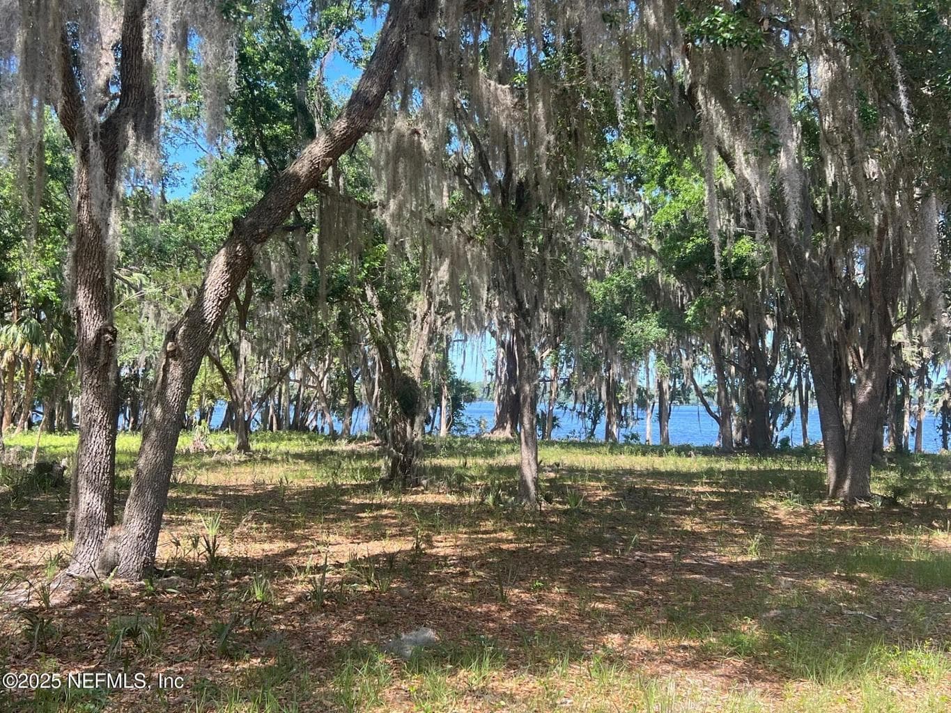 762 NATIONAL FOREST ROAD 75G Road, Palatka, FL 32177, Palatka, FL - photo 1